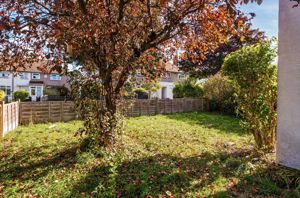 Front garden- click for photo gallery